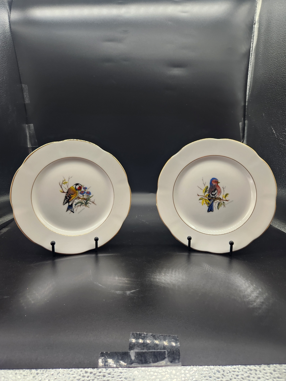 Vintage Rosina Bone China Spade Hammersley Birds Bird Salad Plates - Set of 8